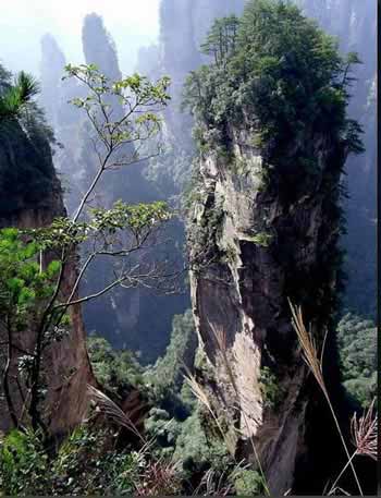 長(zhǎng)沙出發(fā)到張家界溶洞奇觀黃龍洞、國(guó)家森林公園、袁家界、峰林之王天子山三日游（早班）