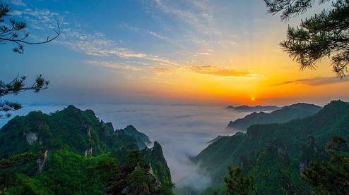 張家界森林公園（金鞭溪、袁家界、楊家界、天子山、十里畫廊）住山上2天1游（可看日出）